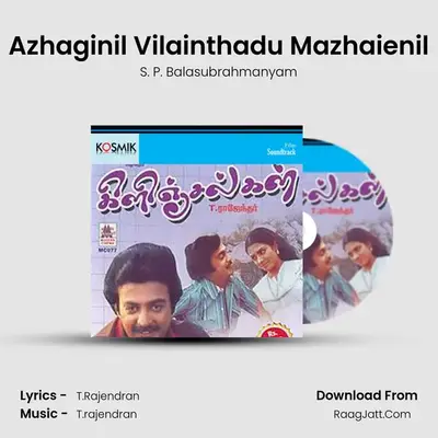 Azhaginil Vilainthadu Mazhaienil Cover