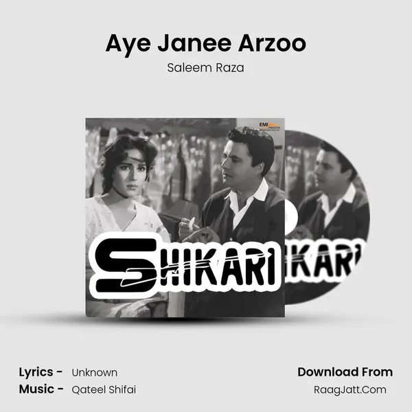Aye Janee Arzoo MP3 Song by Saleem Raza Cover