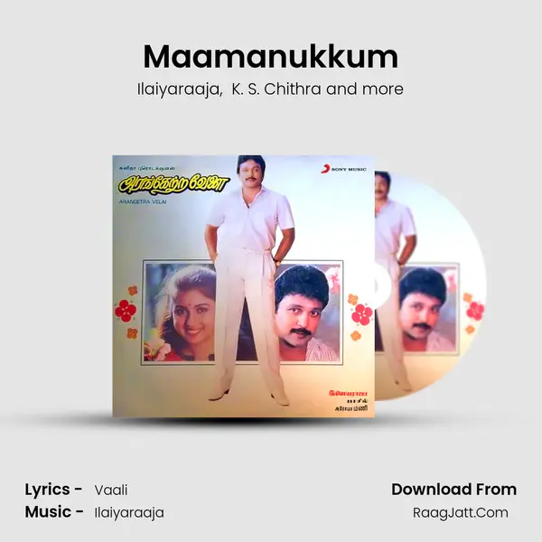 Maamanukkum MP3 Song by Ilaiyaraaja Cover