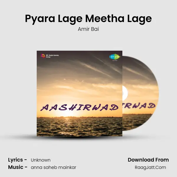 Pyara Lage Meetha Lage MP3 Song by Amir Bai Cover