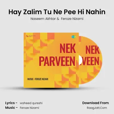 Hay Zalim Tu Ne Pee Hi Nahin MP3 Song by Naseem Akhtar Cover