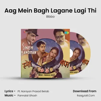 Aag Mein Bagh Lagane Lagi Thi MP3 Song by Bibbo Cover
