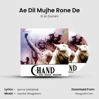 Ae Dil Mujhe Rone De Cover