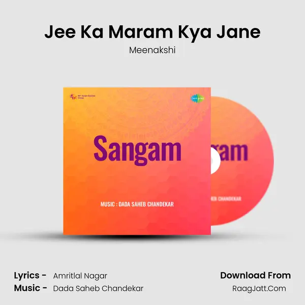 Jee Ka Maram Kya Jane MP3 Song by Meenakshi Cover