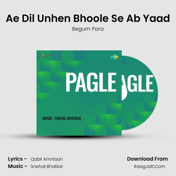 Ae Dil Unhen Bhoole Se Ab Yaad MP3 Song by Begum Para Cover