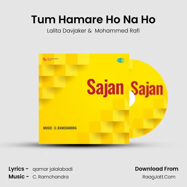 Tum Hamare Ho Na Ho MP3 Song by Lalita Davjaker Cover