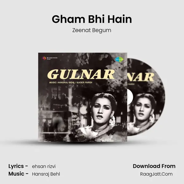 Gham Bhi Hain MP3 Song by Zeenat Begum Cover