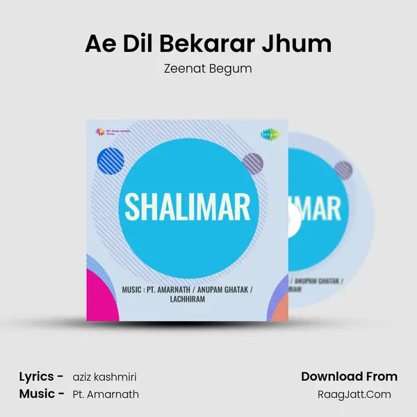 Ae Dil Bekarar Jhum MP3 Song by Zeenat Begum Cover