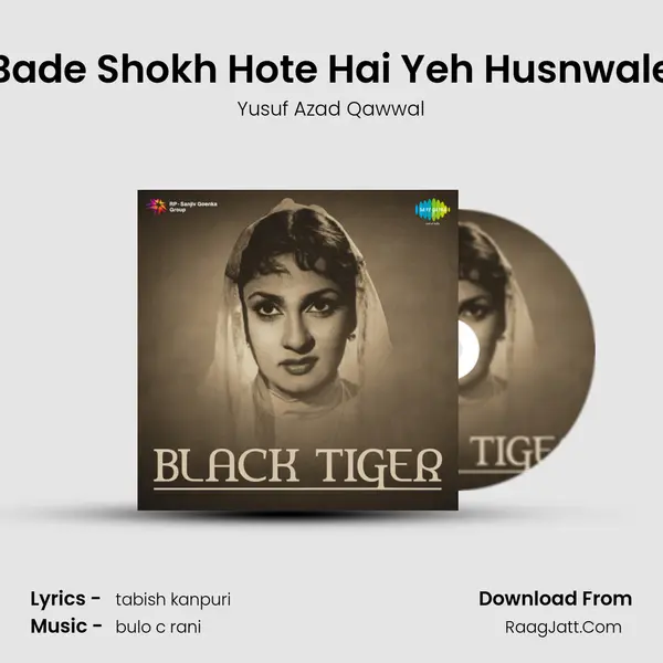 Bade Shokh Hote Hai Yeh Husnwale MP3 Song by Yusuf Azad Qawwal Cover