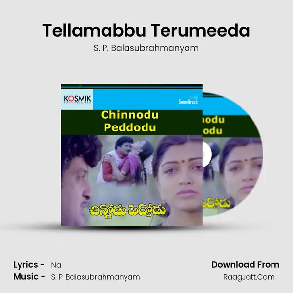 Tellamabbu Terumeeda MP3 Song by S. P. Balasubrahmanyam Cover