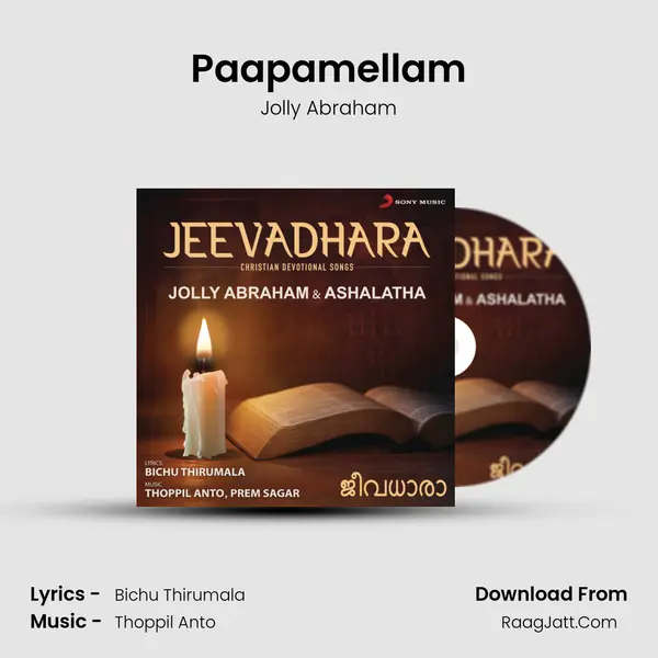 Paapamellam MP3 Song by Jolly Abraham Cover