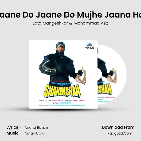 Jaane Do Jaane Do Mujhe Jaana Hai MP3 Song by Lata Mangeshkar Cover