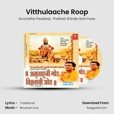 Vitthulaache Roop MP3 Song by Anuradha Paudwal Cover