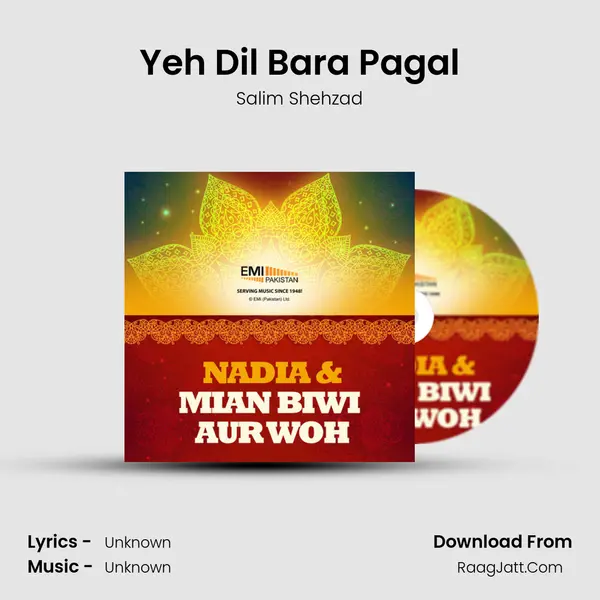 Yeh Dil Bara Pagal MP3 Song by Salim Shehzad Cover