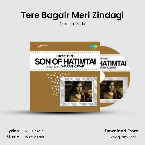 Tere Bagair Meri Zindagi mp3 song
