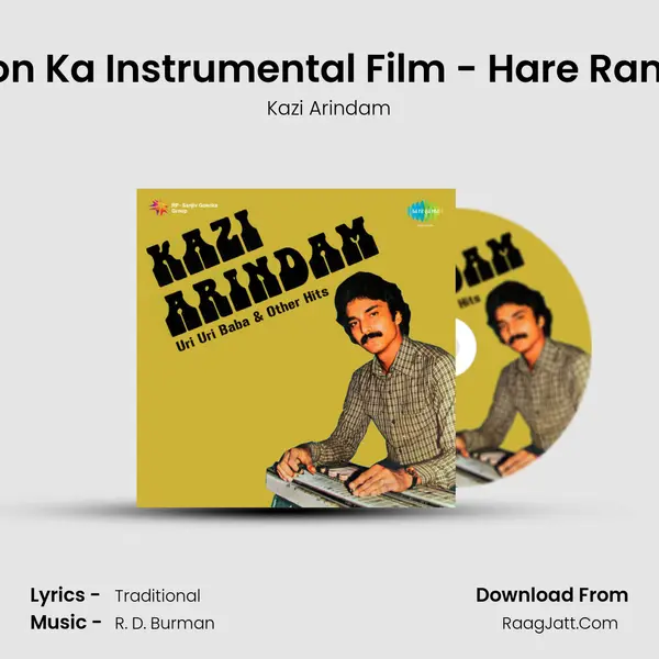 Phoolon Ka Taron Ka Instrumental Film - Hare Rama Hare Krishna MP3 Song by Kazi Arindam Cover