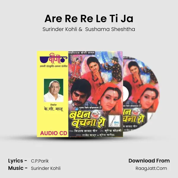 Are Re Re Le Ti Ja MP3 Song by Surinder Kohli Cover