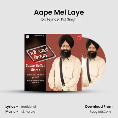 Aape Mel Laye MP3 Song by Dr. Tejinder Pal Singh Cover