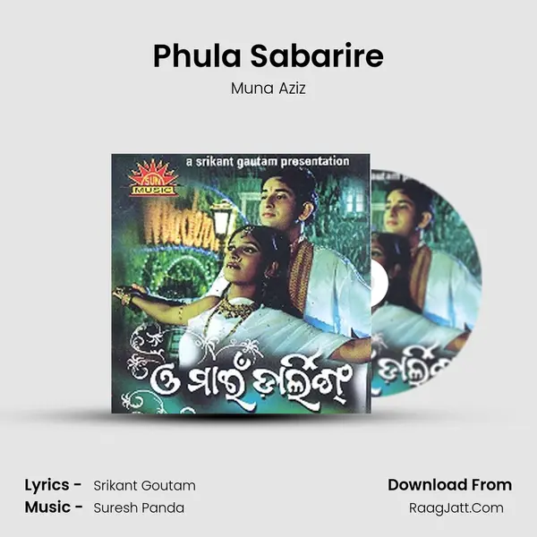 Phula Sabarire MP3 Song by Muna Aziz Cover