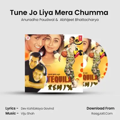 Tune Jo Liya Mera Chumma (Remix) MP3 Song by Anuradha Paudwal Cover