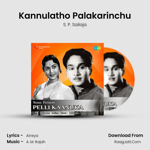 Kannulatho Palakarinchu MP3 Song by S. P. Sailaja Cover