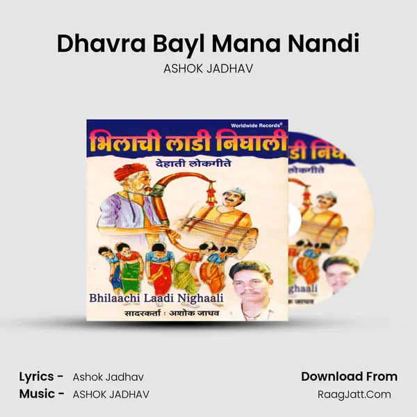 Dhavra Bayl Mana Nandi MP3 Song by ASHOK JADHAV Cover