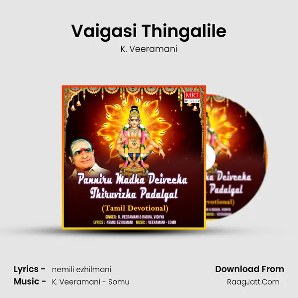 Vaigasi Thingalile MP3 Song by K. Veeramani Cover