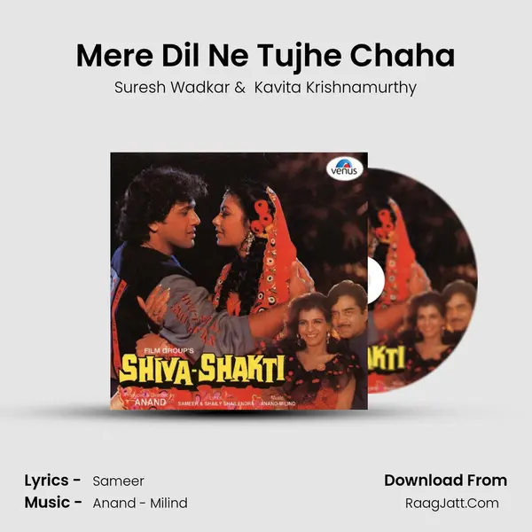 Mere Dil Ne Tujhe Chaha MP3 Song by Suresh Wadkar Cover