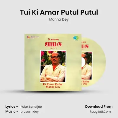 Tui Ki Amar Putul Putul MP3 Song by Manna Dey Cover