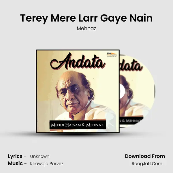 Terey Mere Larr Gaye Nain MP3 Song by Mehnaz Cover