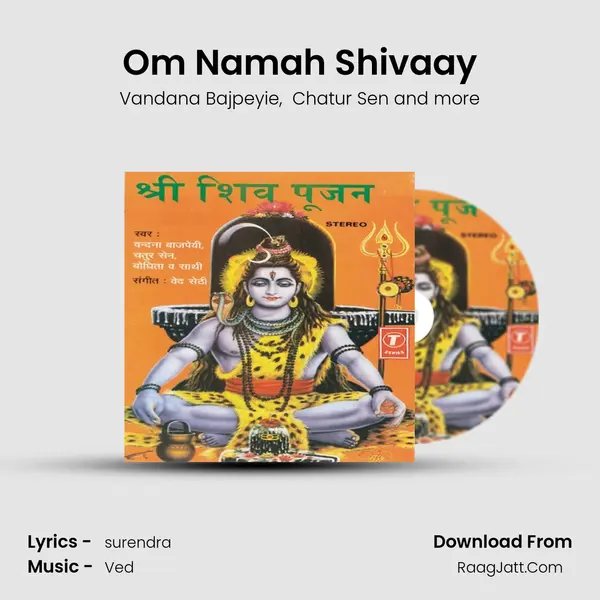 Om Namah Shivaay(Panchachhar Mantra) mp3 song