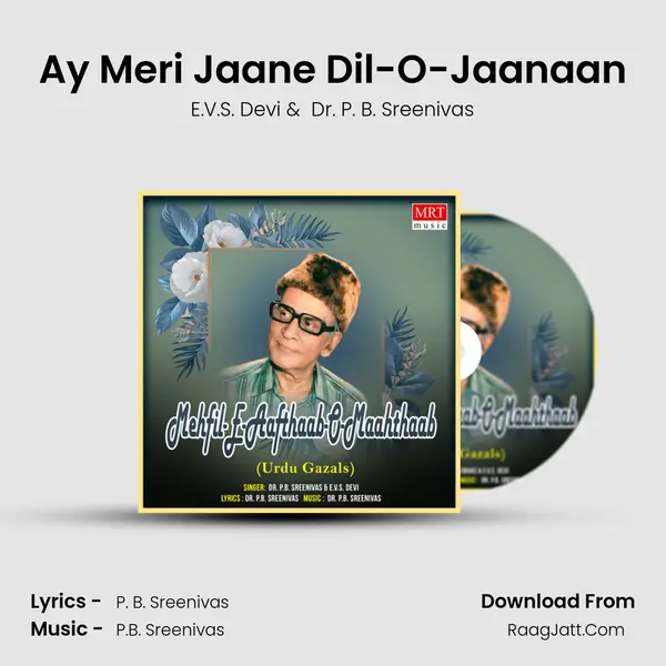 Ay Meri Jaane Dil-O-Jaanaan mp3 song