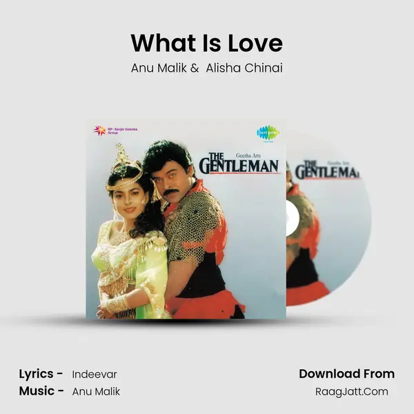 What Is Love MP3 Song by Anu Malik Cover