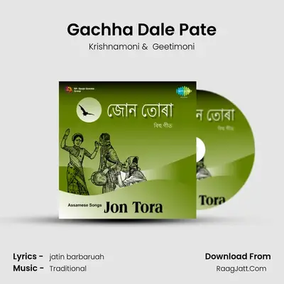 Gachha Dale Pate MP3 Song by Krishnamoni Cover