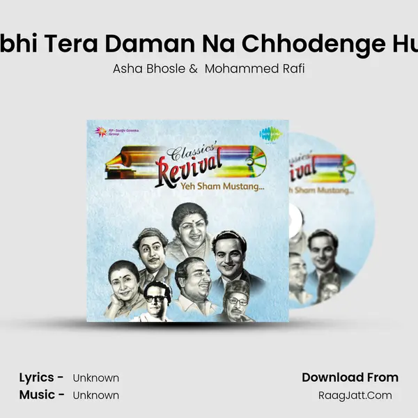 Kabhi Tera Daman Na Chhodenge Hum Cover