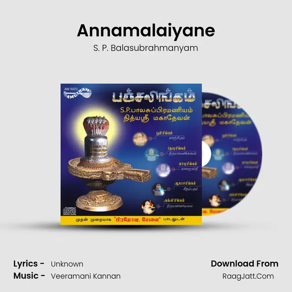 Annamalaiyane MP3 Song by S. P. Balasubrahmanyam Cover