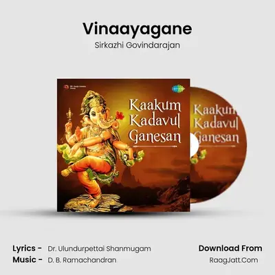 Vinaayagane MP3 Song by Sirkazhi Govindarajan Cover