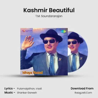 Kashmir Beautiful Cover