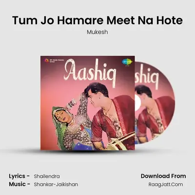 Tum Jo Hamare Meet Na Hote MP3 Song by Mukesh Cover
