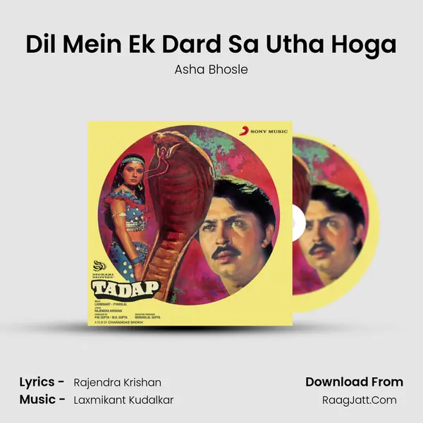Dil Mein Ek Dard Sa Utha Hoga MP3 Song by Asha Bhosle Cover