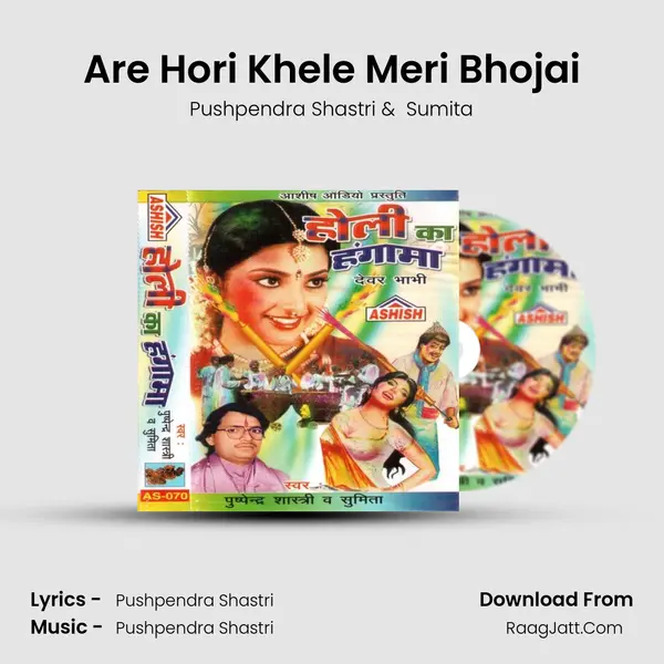 Are Hori Khele Meri Bhojai MP3 Song by Pushpendra Shastri Cover