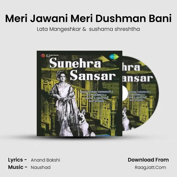 Meri Jawani Meri Dushman Bani MP3 Song by Lata Mangeshkar Cover