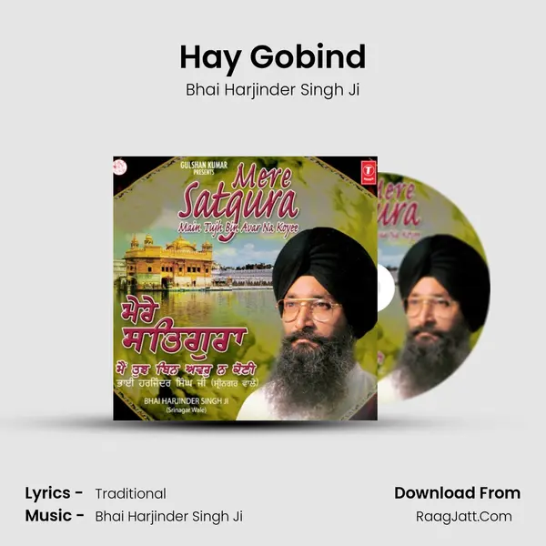Hay Gobind MP3 Song by Bhai Harjinder Singh Ji Cover