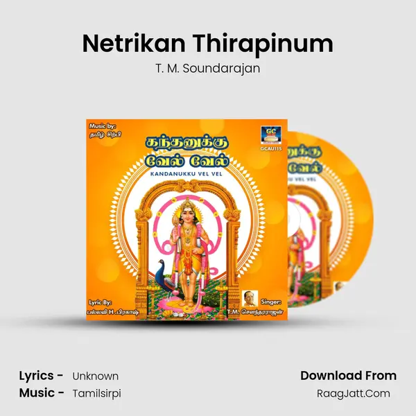 Netrikan Thirapinum MP3 Song by T. M. Soundarajan Cover