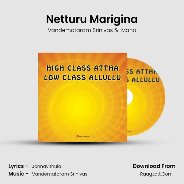 Netturu Marigina MP3 Song by Vandemataram Srinivas Cover