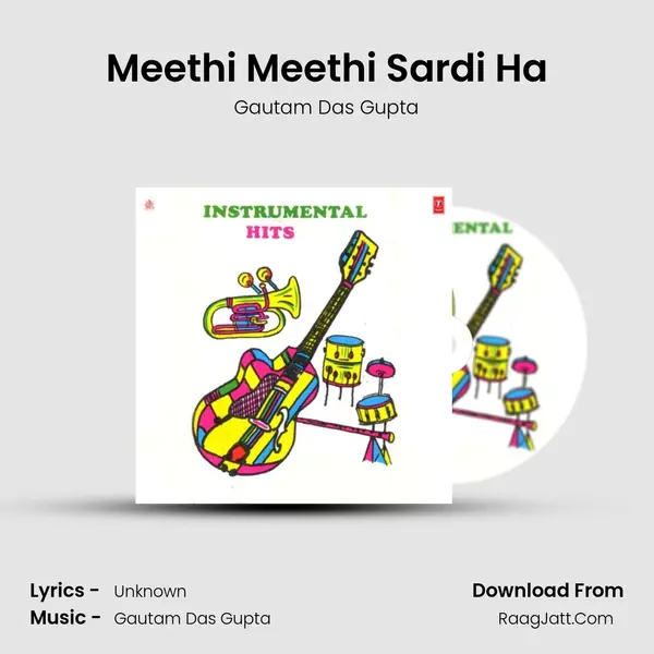 Meethi Meethi Sardi Ha Cover