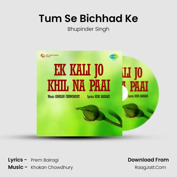 Tum Se Bichhad Ke mp3 song