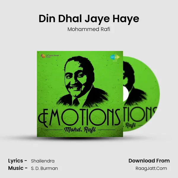 Din Dhal Jaye Haye Cover