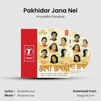 Pakhidar Jana Nei MP3 Song by Anuradha Paudwal Cover