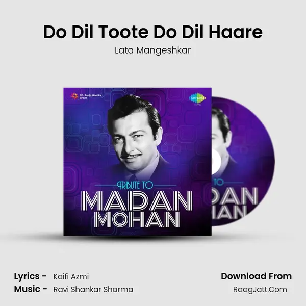 Do Dil Toote Do Dil Haare Cover